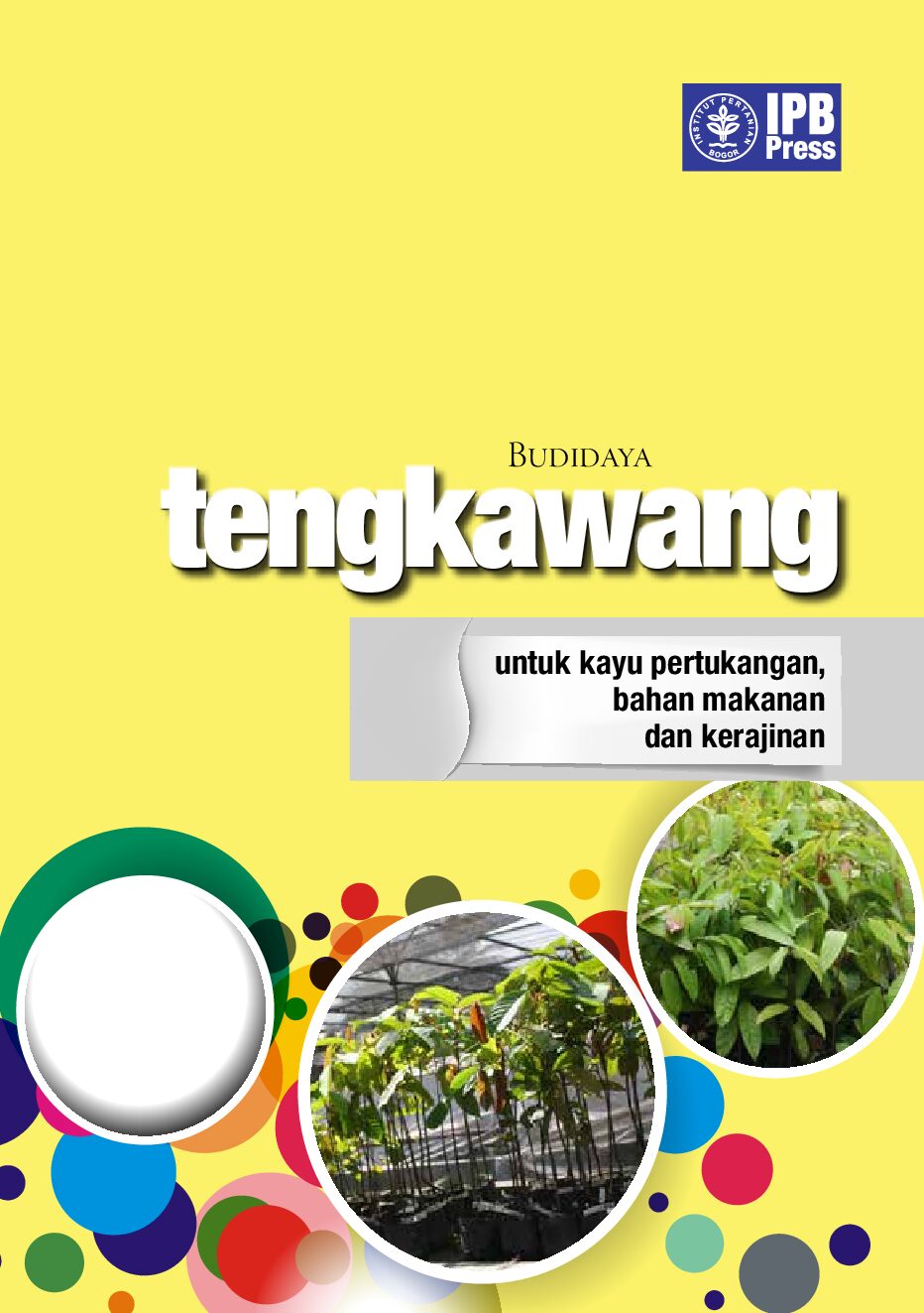 Cover Budidaya Tengkawang Untuk Kayu Pertukangan Rizqi Pambayun 2014